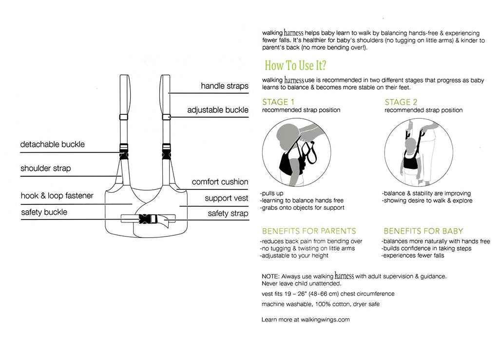 Handheld Baby Walker for Toddler